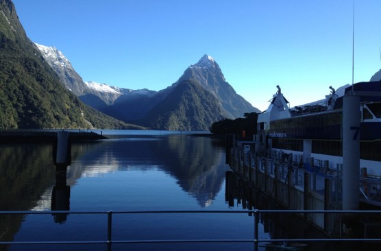 Milford Sound Scenic Cruise - Milford Return