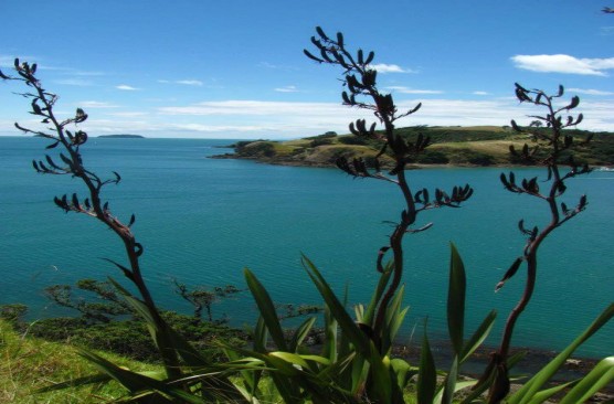 Waiheke Ferry - Auckland to Waiheke Open Return
