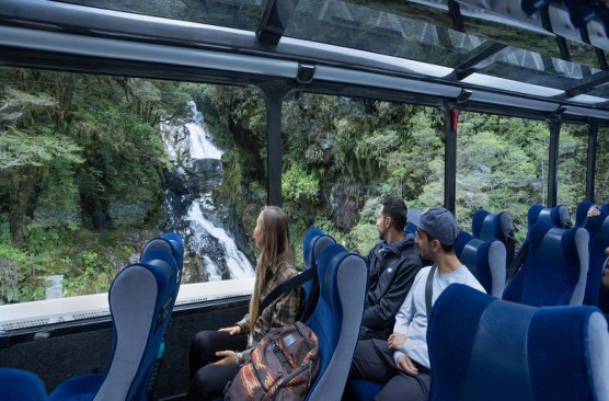 Milford Sound Cruise and Coach – Queenstown Departure